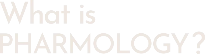 img_top_profile_title